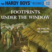 Footprints Under the Window cover picture