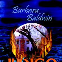 Indigo Bay cover picture