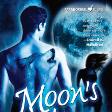 Moon's Fury cover picture