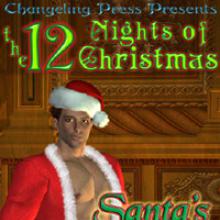Santa's Feast cover picture