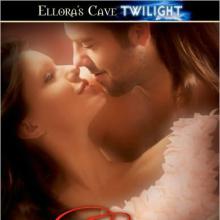 A Gypsy's Thief cover picture