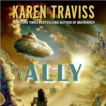Ally cover picture