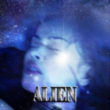 Stolen Brides cover picture