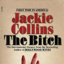The Bitch cover picture