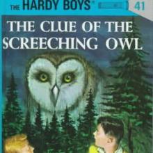 The Clue of the Screeching Owl cover picture