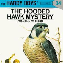 The Hooded Hawk Mystery cover picture