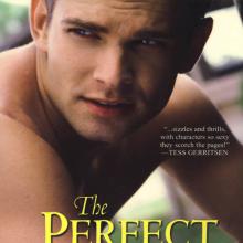 The Perfect Stranger cover picture