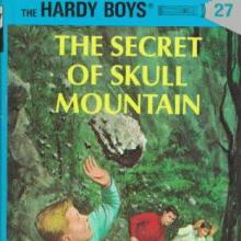 The Secret of Skull Mountain cover picture