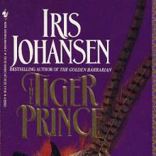 The Tiger Prince cover picture