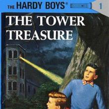 The Tower Treasure cover picture