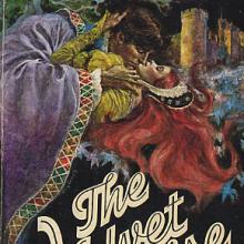 The Velvet Promise cover picture