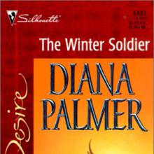 The Winter Soldier cover picture