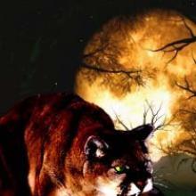 Transformation cover picture