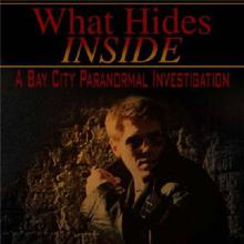 What Hides Inside cover picture