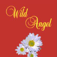 Wild Angel cover picture