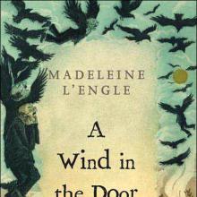 A Wind In The Door cover picture