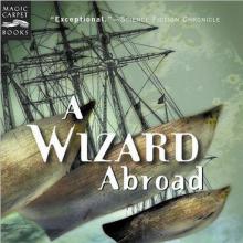 A Wizard Abroad cover picture