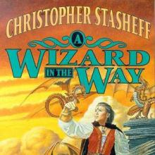 A Wizard In The Way cover picture