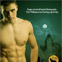 Bad Moon Rising cover picture