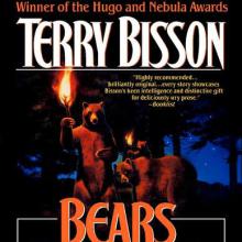 Bears Discover Fire cover picture