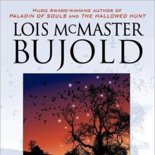 Beguilement cover picture
