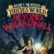Beyond Wizardwall cover picture