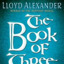 Book Of Three cover picture