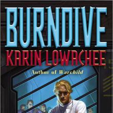 Burndive cover picture
