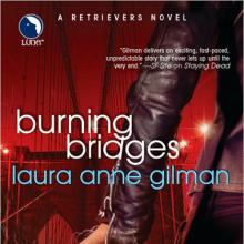 Burning Bridges cover picture