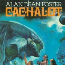 Cachalot cover picture