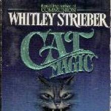 Cat Magic cover picture