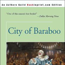 City Of Baraboo cover picture