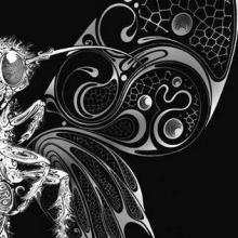 Dark Eden cover picture