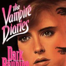 Dark Reunion cover picture