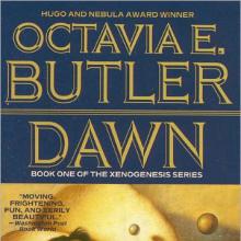 Dawn cover picture