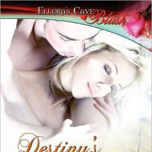 Destiny's Seduction cover picture