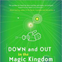 Down And Out In The Magic Kingdom cover picture