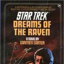 Dreams Of The Raven cover picture