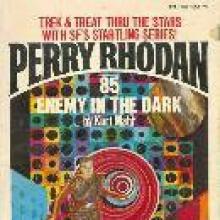 Enemy In The Dark cover picture