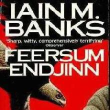 Feersum Endjinn cover picture