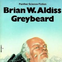 Greybeard cover picture