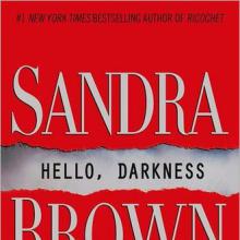 Hello, Darkness cover picture