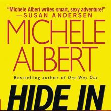 Hide In Plain Sight cover picture