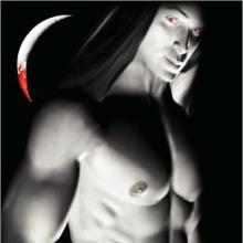 House Of Shadows cover picture