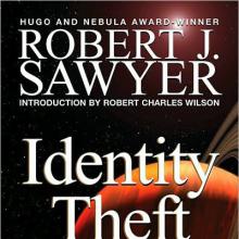 Identity Theft cover picture