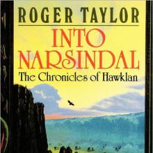 Into Narsindal cover picture