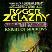 Knight Of Shadows cover picture