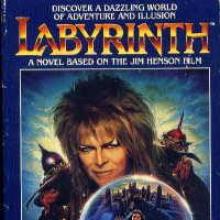 Labyrinth cover picture
