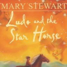 Ludo And The Star Horse cover picture