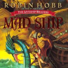 Mad Ship cover picture